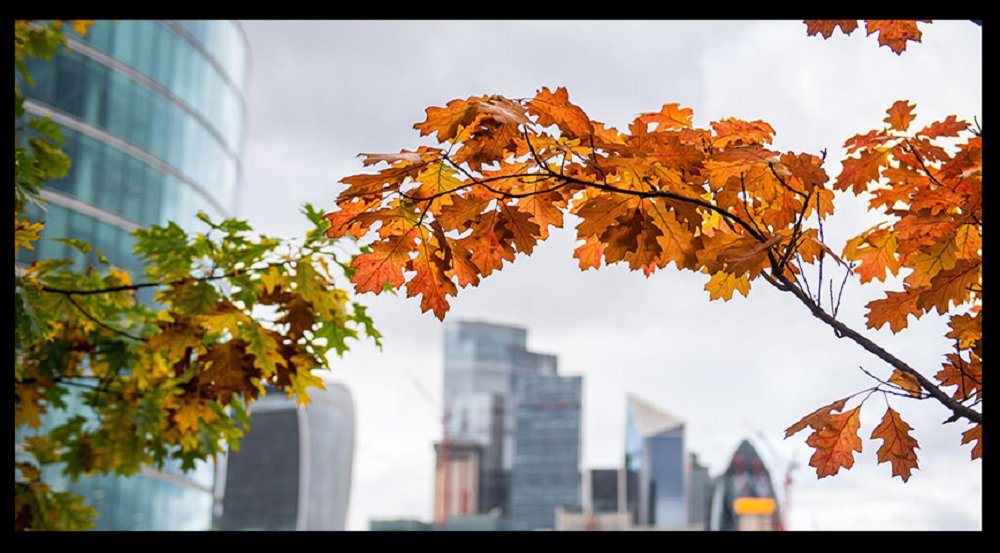 首页关于我们左侧图